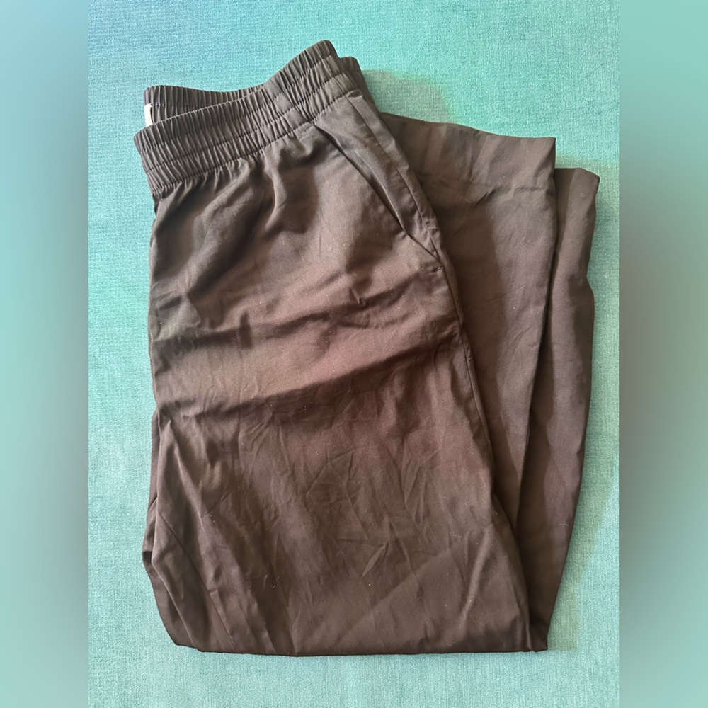 Everlane women’s 100% wool black pants LIKE NEW